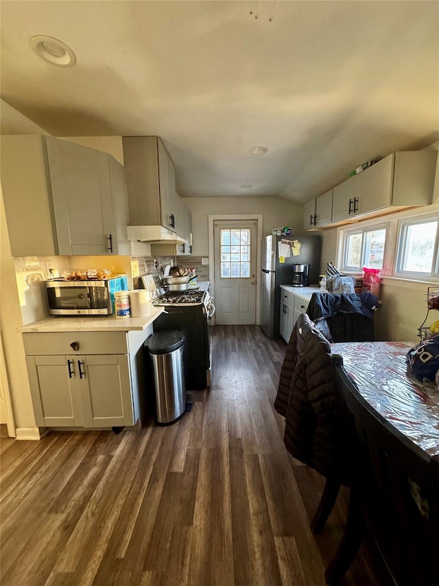 kitchen featuring appliances with stainless steel finishes, a healthy amount of sunlight, light countertops, and dark wood finished floors