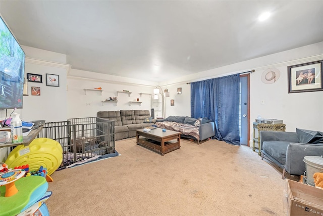 living area featuring carpet floors