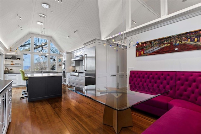 interior space featuring high vaulted ceiling, under cabinet range hood, dark wood-type flooring, open shelves, and an island with sink