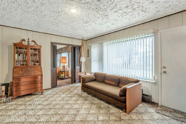 carpeted living room featuring a healthy amount of sunlight and a textured ceiling