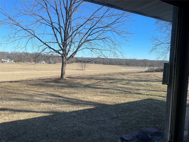 view of yard with a rural view