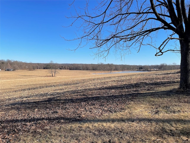 view of local wilderness featuring a rural view