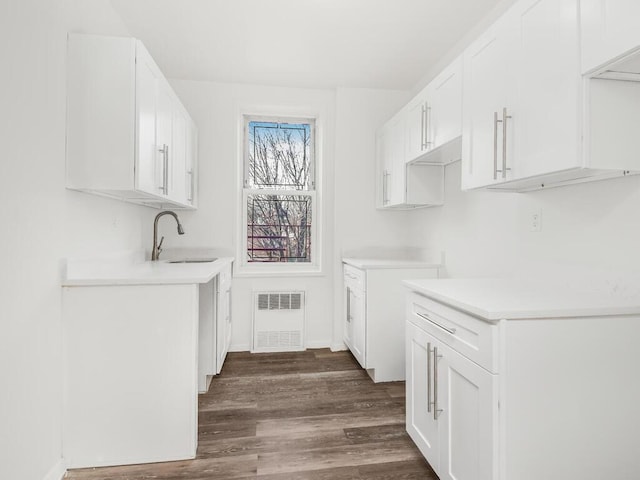 interior space with visible vents, dark wood finished floors, and a sink