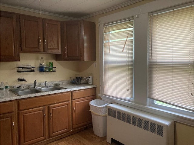 kitchen featuring a sink, light countertops, ornamental molding, brown cabinets, and radiator