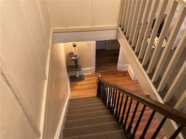 staircase featuring wood finished floors