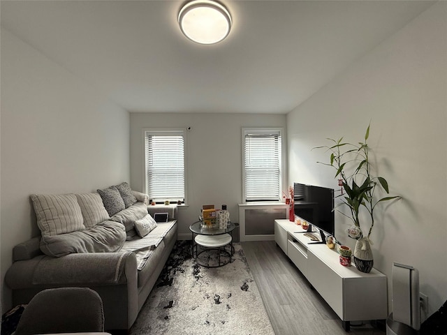 living area featuring light wood-style floors