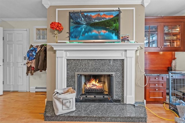 interior details with ornamental molding, baseboard heating, wood finished floors, and a high end fireplace