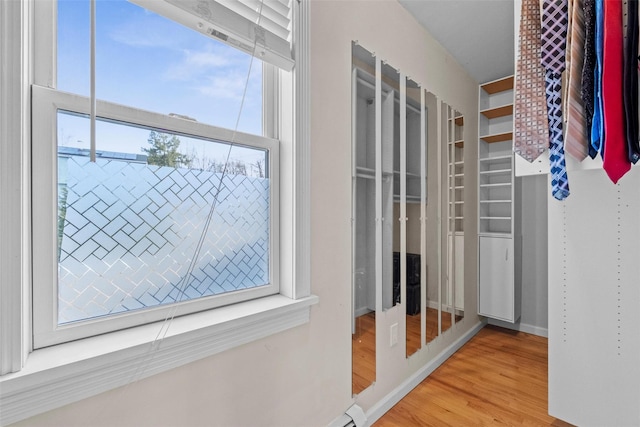 interior space with wood finished floors