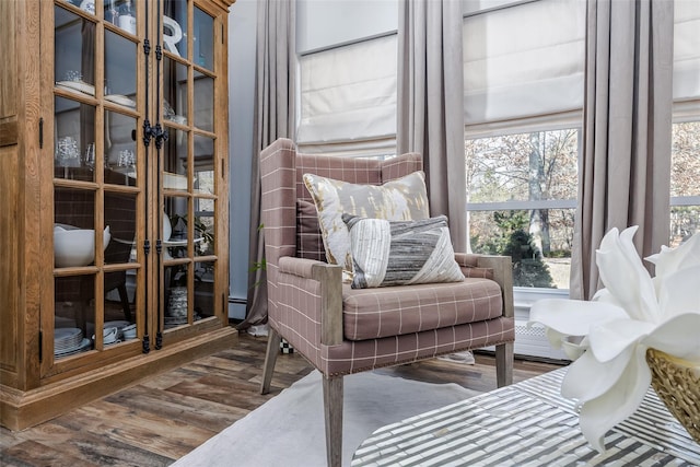 living area featuring wood finished floors