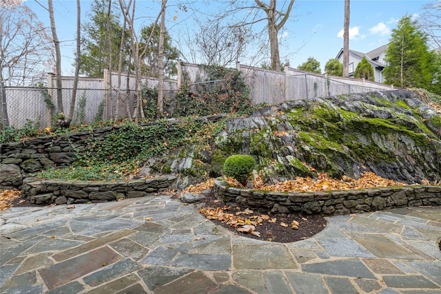 view of yard featuring a patio area and a fenced backyard