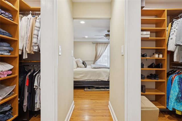 walk in closet with wood finished floors and a ceiling fan