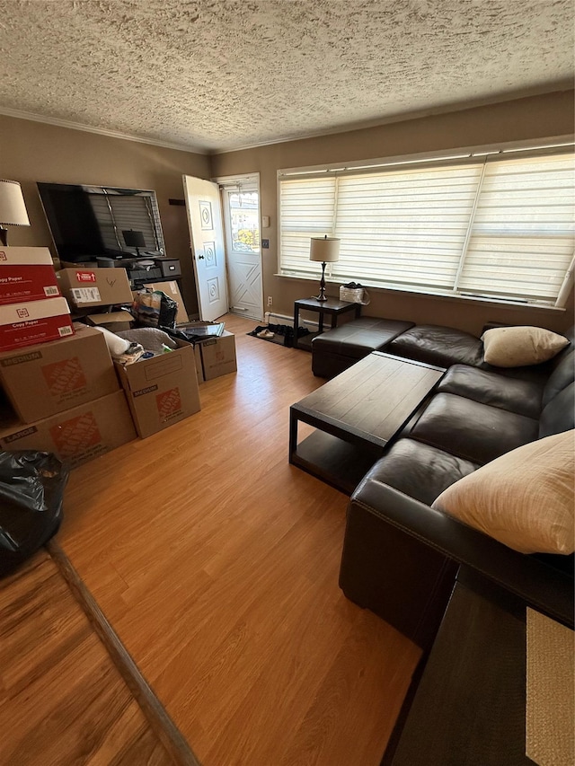 living area featuring a textured ceiling and wood finished floors