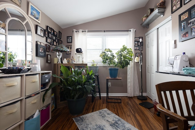 interior space featuring plenty of natural light, baseboards, vaulted ceiling, and dark wood-type flooring