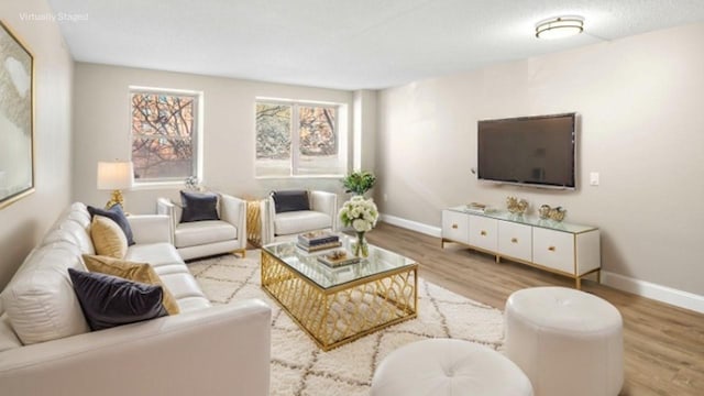 living area with baseboards and wood finished floors