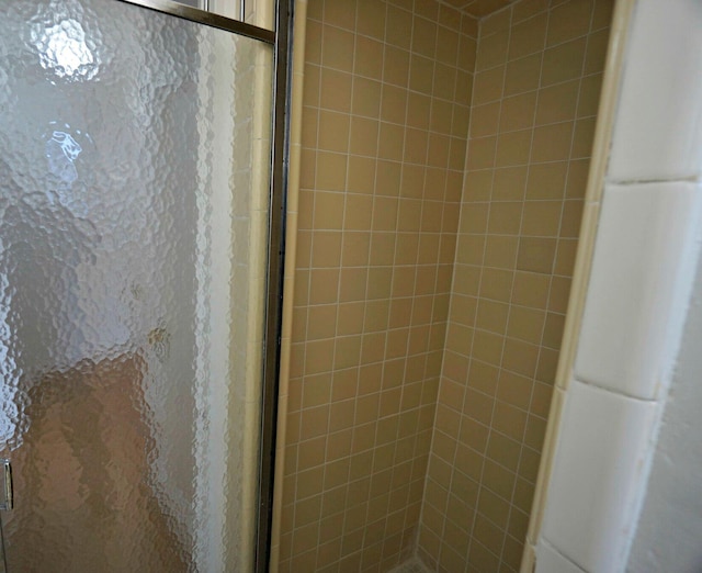 bathroom with a shower stall