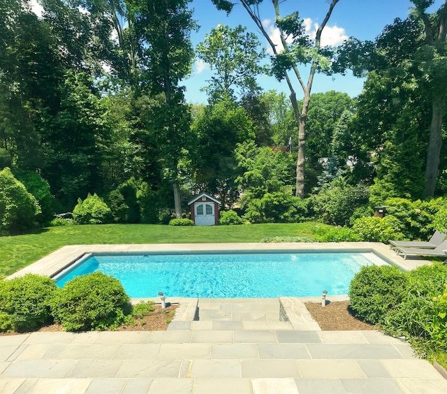 outdoor pool featuring a yard, a patio, an outdoor structure, and a shed