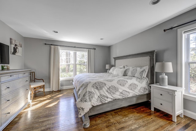 bedroom featuring multiple windows, baseboards, and wood finished floors