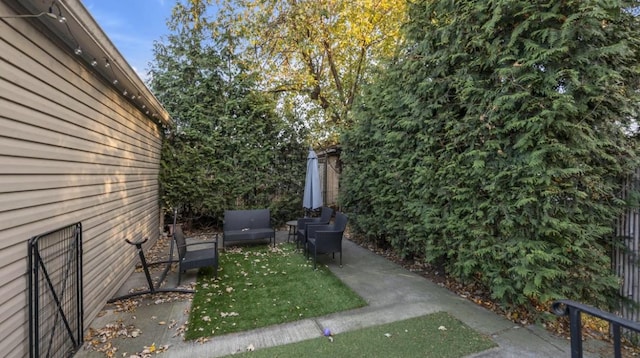 view of yard with a patio area and an outdoor hangout area