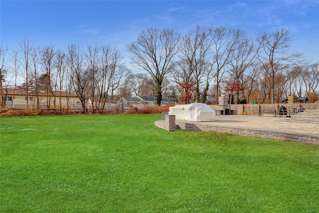 view of yard featuring a patio area and a fenced backyard