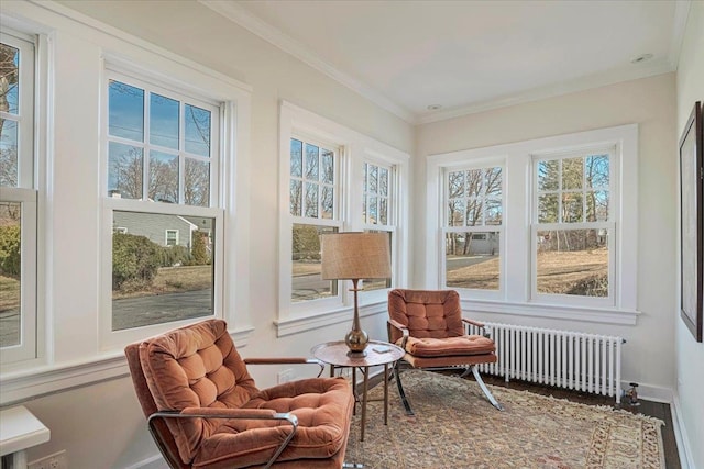 sunroom / solarium with radiator