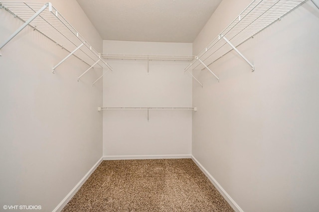 spacious closet featuring carpet floors