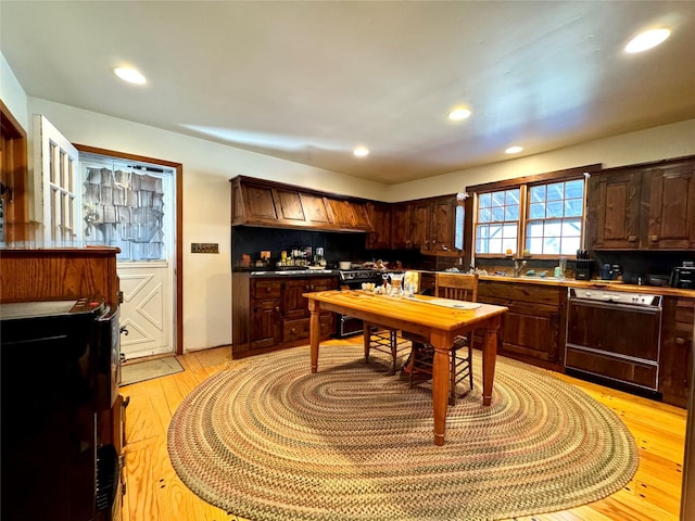 2838 Old Kings Rd, Catskill, NY 12414 - kitchen featuring dishwasher, light wood-style floors, backsplash, a sink, and recessed lighting