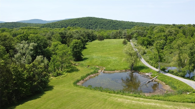 2838 Old Kings Rd, Catskill, NY 12414 - drone / aerial view of a forest and a water and mountain view
