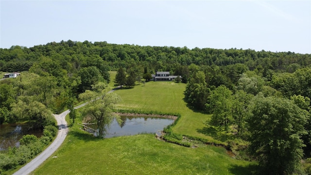 2838 Old Kings Rd, Catskill, NY 12414 - aerial view of property and surrounding area with a large body of water and a forest