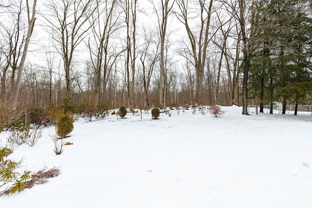 view of yard layered in snow