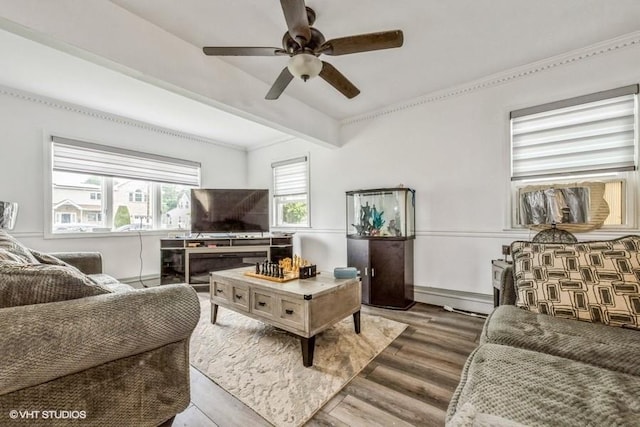 18 Old Farm Rd, Levittown, NY 11756 - living area featuring ceiling fan, wood finished floors, and beam ceiling