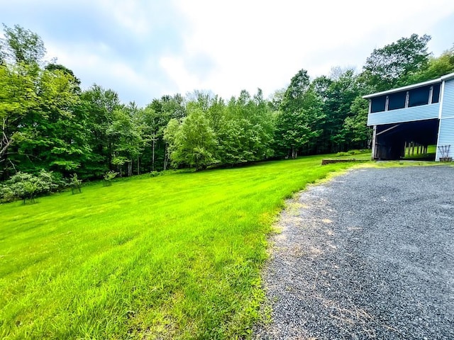 521 Hessinger Lare Rd, Jeffersonville, NY 12748 - view of grassy yard