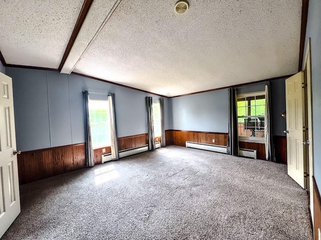 521 Hessinger Lare Rd, Jeffersonville, NY 12748 - spare room featuring wainscoting, crown molding, a textured ceiling, wood walls, and a baseboard radiator