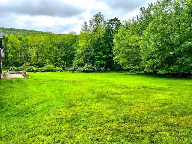 521 Hessinger Lare Rd, Jeffersonville, NY 12748 - view of green lawn featuring a forest view