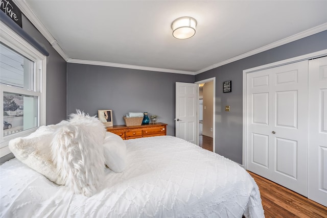 bedroom with ornamental molding, a closet, and wood finished floors