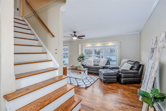 living room featuring crown molding, stairs, a ceiling fan, and wood finished floors