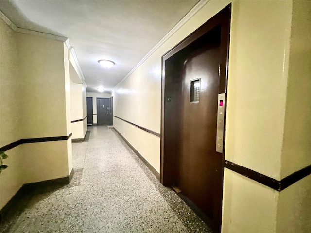 hallway with baseboards, light speckled floor, and crown molding