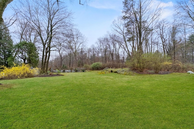 5 Shingle House Rd, Millwood, NY 10546 - view of yard