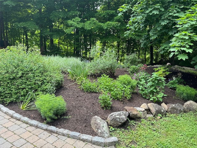5 Shingle House Rd, Millwood, NY 10546 - view of yard