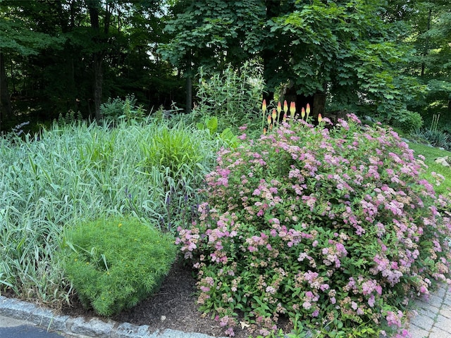 5 Shingle House Rd, Millwood, NY 10546 - view of landscape