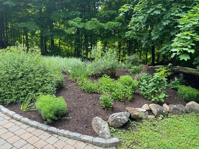 5 Shingle House Rd, Millwood, NY 10546 - view of yard