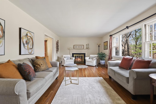 living room featuring a glass covered fireplace and wood finished floors