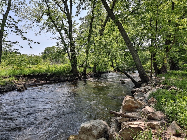 water view with a view of trees