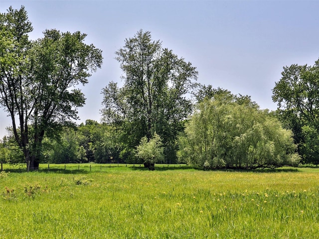 view of nature