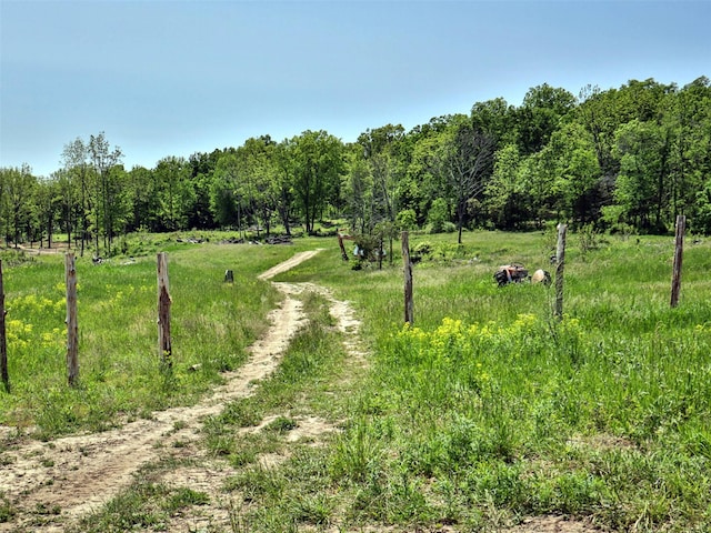 view of local wilderness with a forest view and a rural view