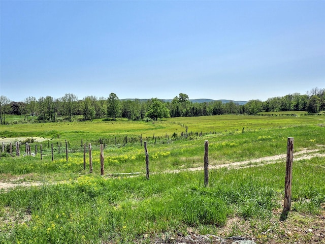 view of yard featuring a rural view