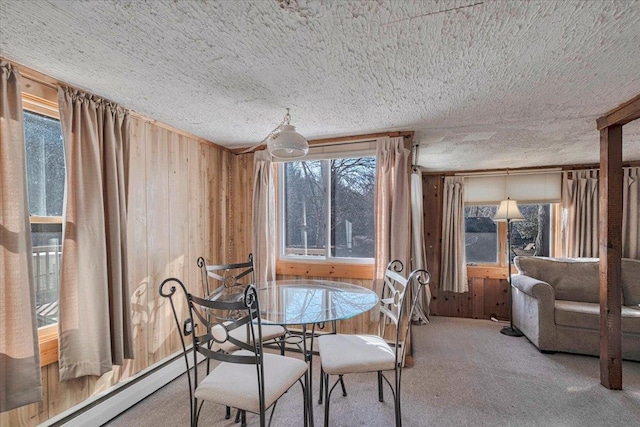 dining room with wooden walls, carpet flooring, a wealth of natural light, and a baseboard radiator