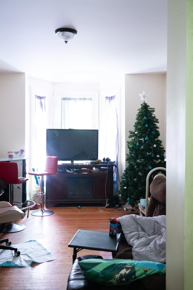 living room with wood finished floors