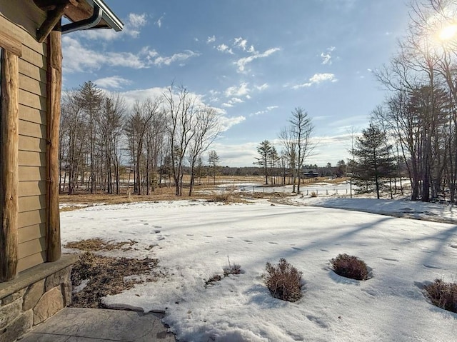 view of yard layered in snow