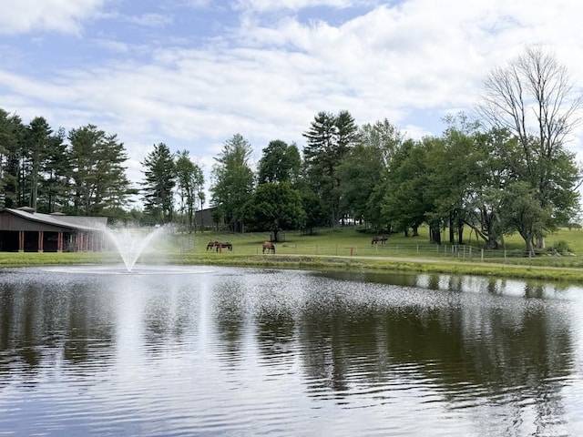 view of water feature