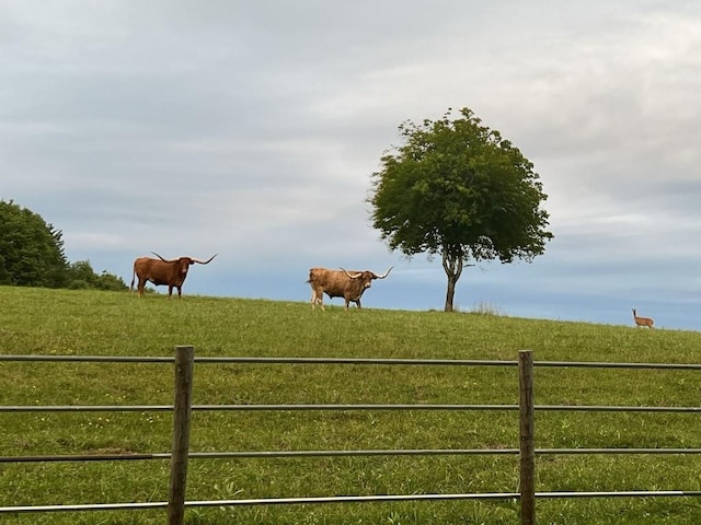 view of gate with a rural view